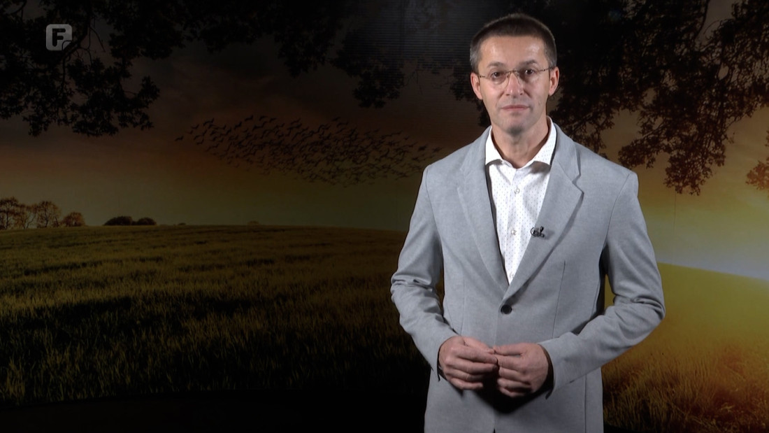 Zelena panorama, 23.11.2025.