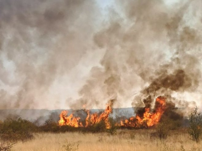 U Srbiji aktivno 13 požara, u posljednja 24 sata lokalizovano više od 180