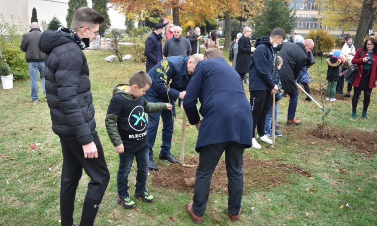 Osnovci i srednjoškolci u ZDK-u počeli sadnju 8.372 stabla u dvorištima škola