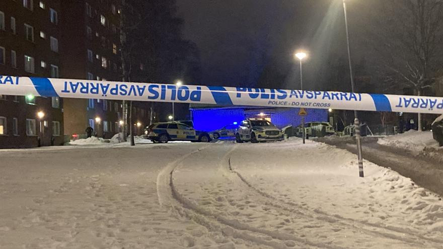 U pucnjavi u Švedskoj ranjeno troje tinejdžera, uhapšene tri osobe