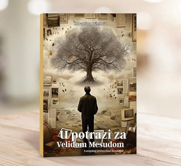 Roman "U potrazi za Velidom Mesudom"