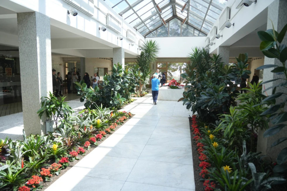 Beograd: Uhapšen muškarac koji je bacio Molotovljev koktel na ulaz u Kuću cvijeća