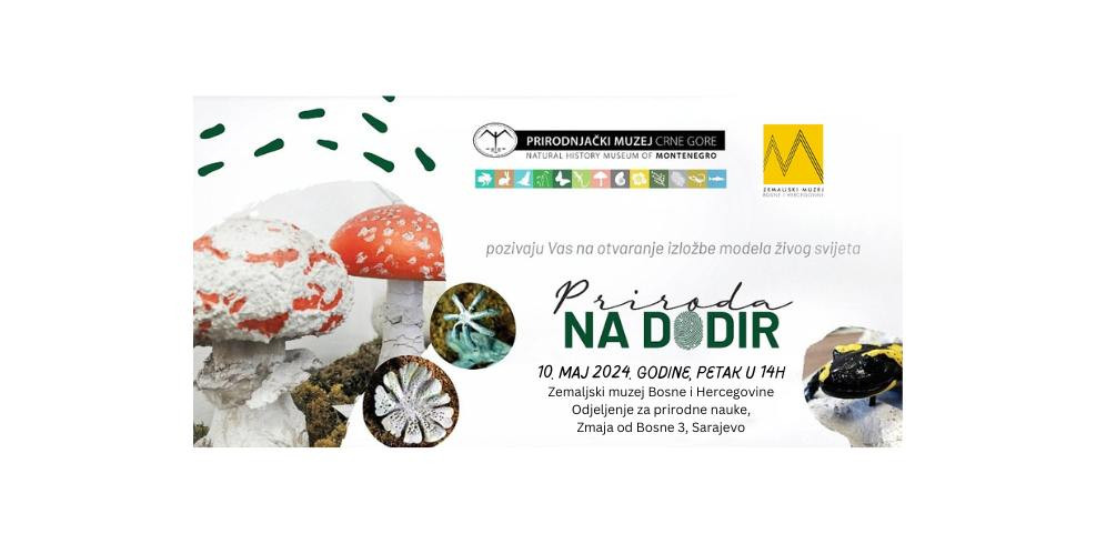 U Zemaljskom muzeju BiH uskoro izložba "Priroda na dodir"