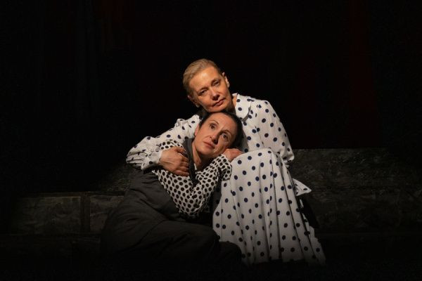 Predstava "Ovaj mali život" osmoga dana Festivala bh. drame