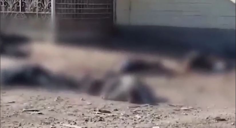 Ruski vojnici pucali po civilima u redu za hljeb, ubijeno deset osoba