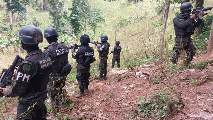 U Hondurasu zaplijenjena polja koke i laboratorij za kokain