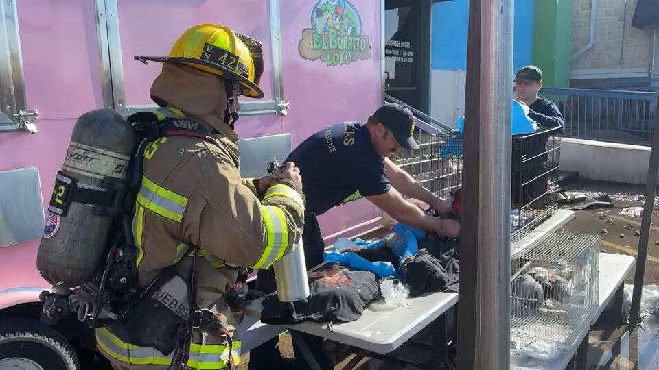 Stotine životinja uginulo u požaru u prodavnici za kućne ljubimce u Teksasu