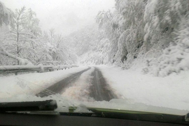 Zbog snijega i leda obustavljen saobraćaj na planinskom prevoju Rogoj