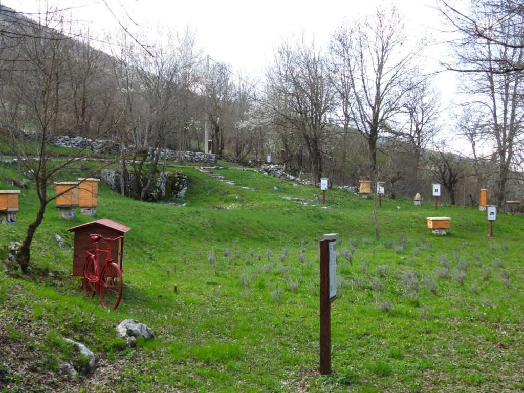 U Ćaiću kod Livna otvara se prvi Pčelarski park u BiH: Spoj tradicije, edukacije i api turizma