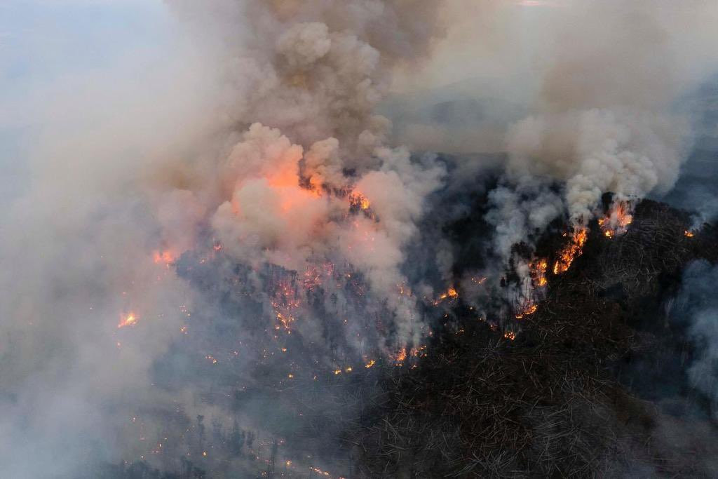 Šumski požari bjesne u sedam argentinskih provincija