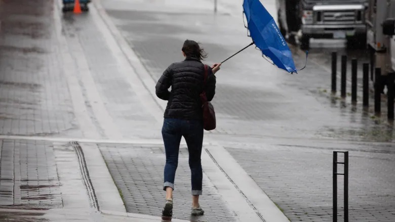 Zbog jakih udara vjetra na snazi meteoalarm u cijeloj BiH