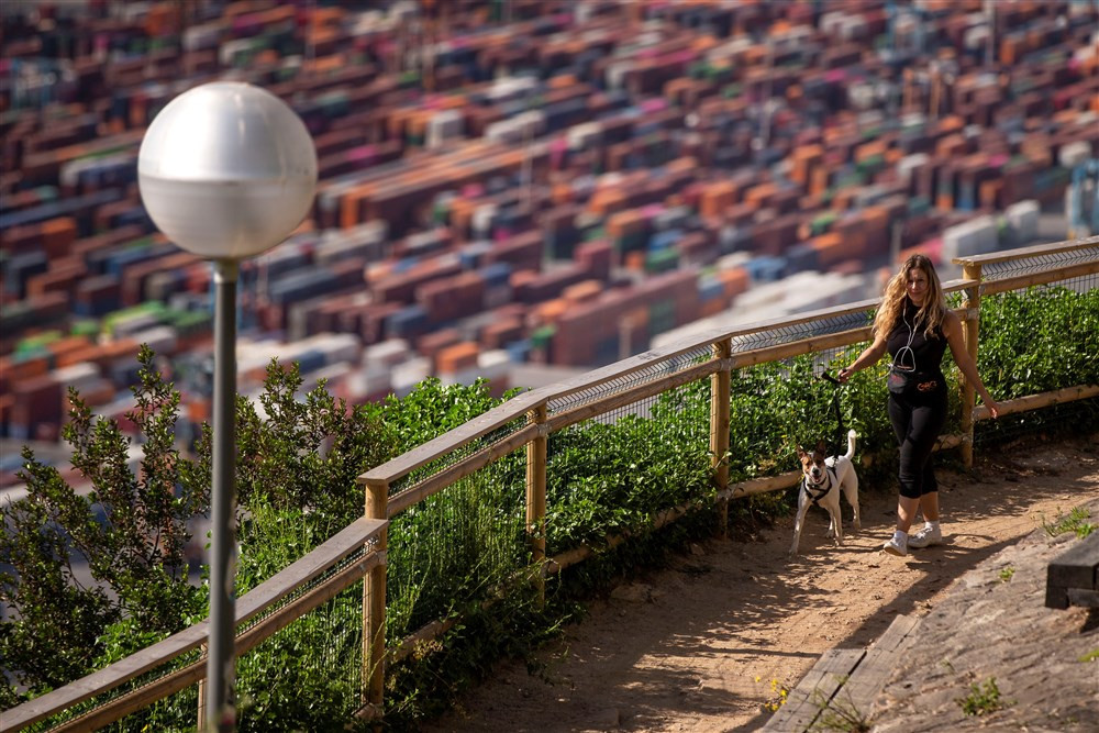 Španija usvojila zakon protiv zlostavljanja životinja