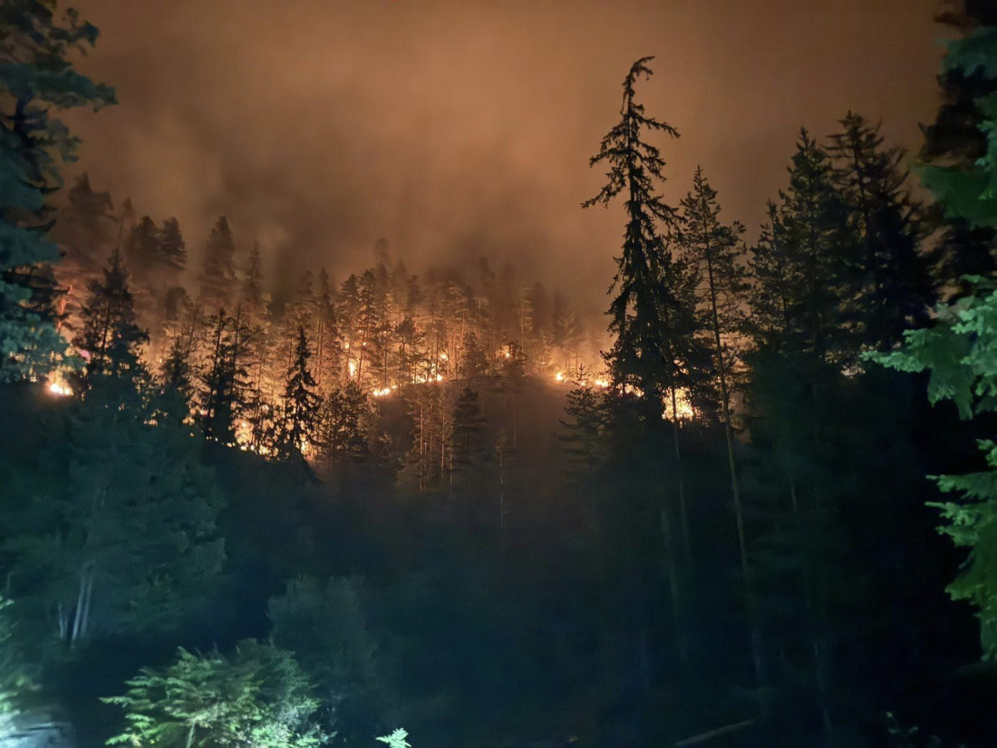 Požar u Kladnju guta šumu i prijeti odmaralištu 'Muška voda'