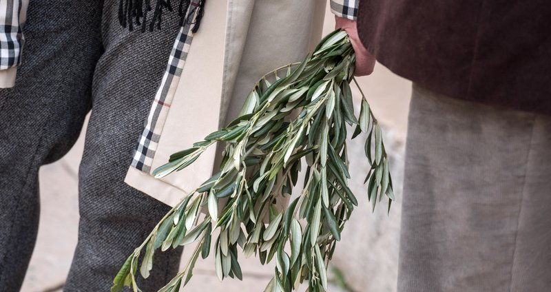 Danas je Cvjetnica, katolici u BiH blagoslivljaju maslinove grančice