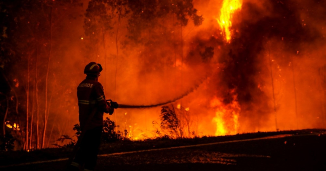 Portugal i Španija u plamenu: Stotine požara, hiljade vatrogasaca na terenu
