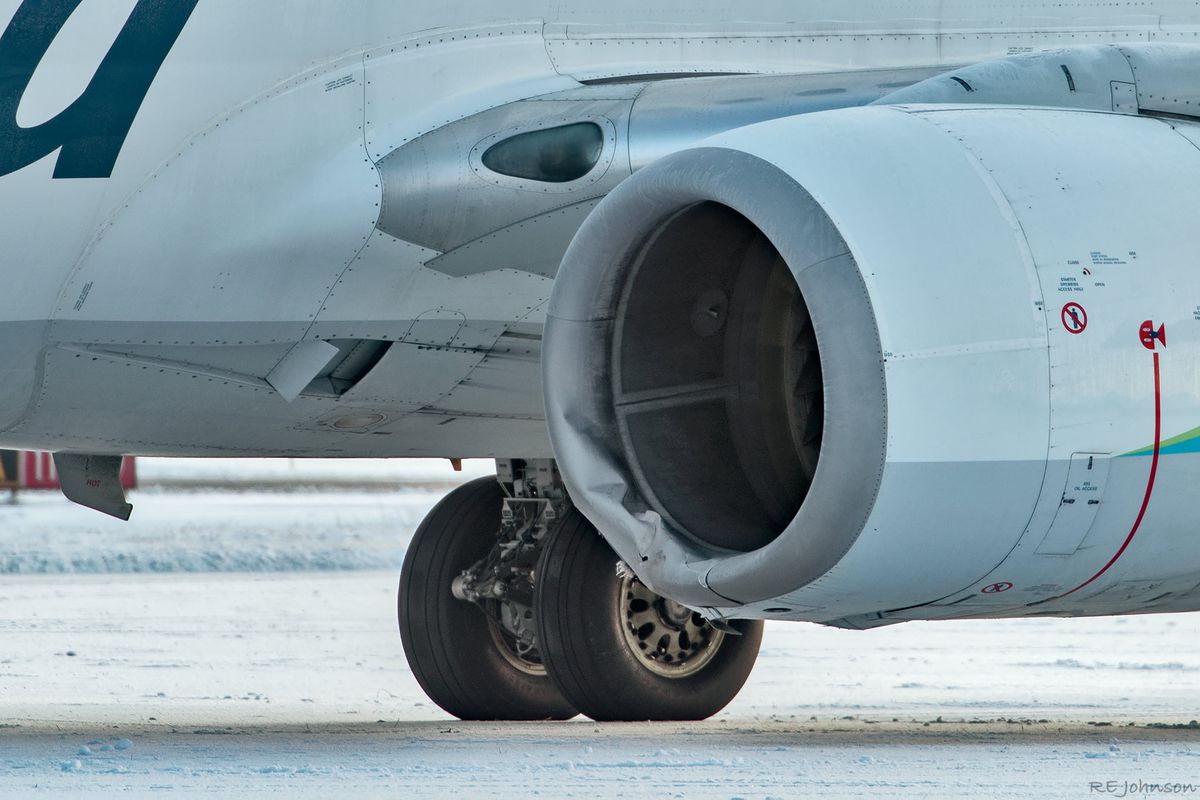 SAD: Avion nakon slijetanja na pistu udario medvjeda, mladunče izbjeglo nesreću