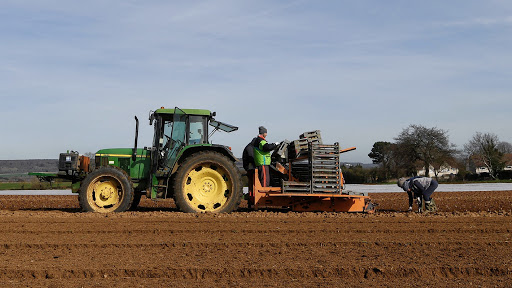 Britanske subvencije poljoprivrednicima bit će povezane sa zaštitom klime