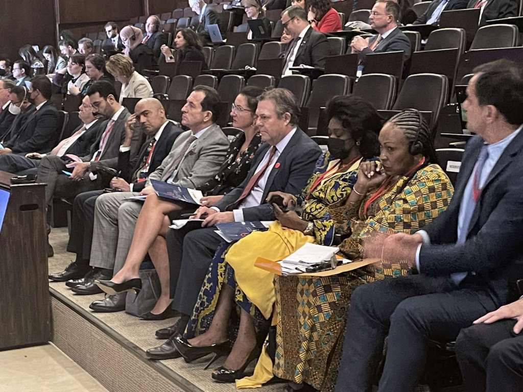 Cikotić na konferenciji o ljudskim pravima i borbi protiv terorizma