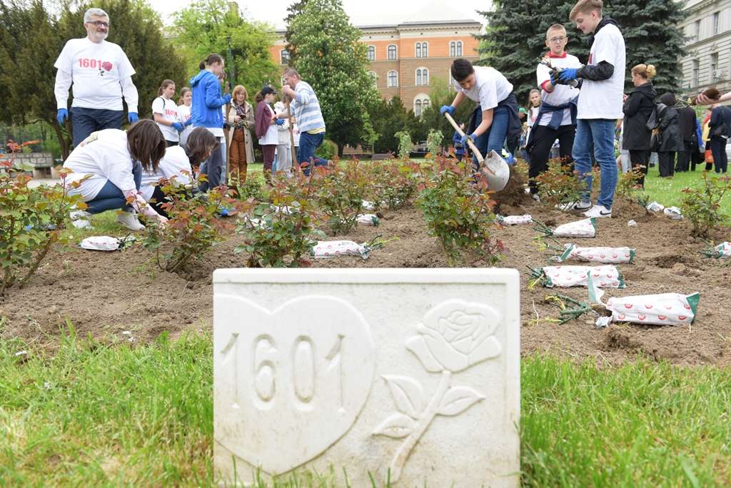 Sadnja ruža za 1.601 ubijeno dijete u opkoljenom Sarajevu