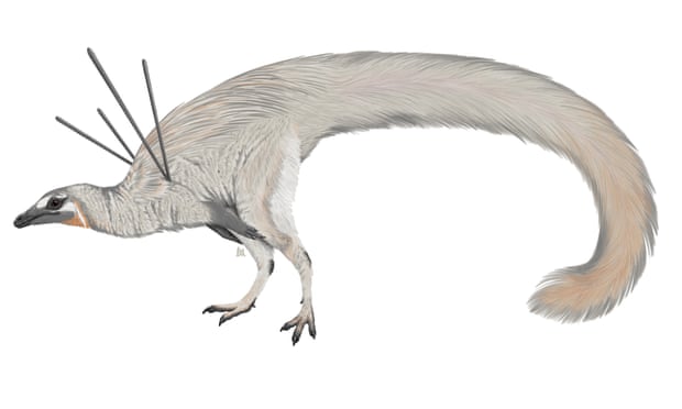 'Ništa slično ranije nije viđeno u prirodi': čudni dinosaurus oduševio naučnike