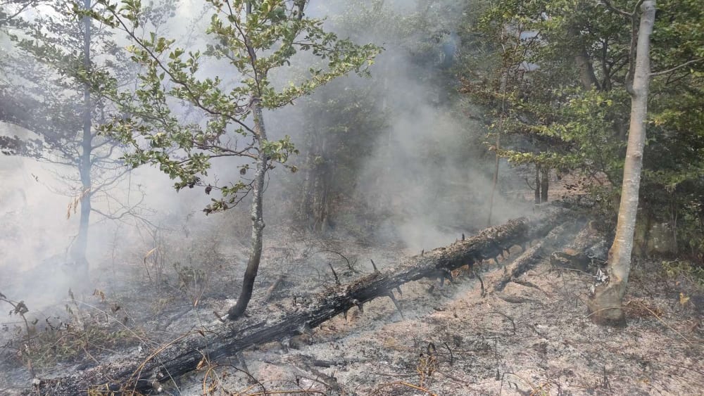 U posljednja dva dana u SBK-u aktivirano osam požara
