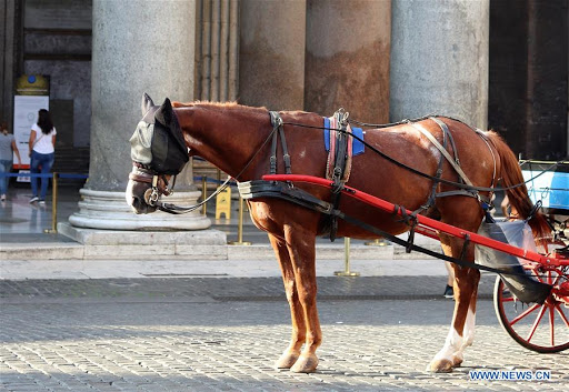 Rim uklanja kočije s konjima sa svojih ulica