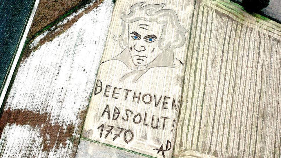 Golem Beethovenov portret izrađen tehnikom 'oranja' u polju blizu Verone