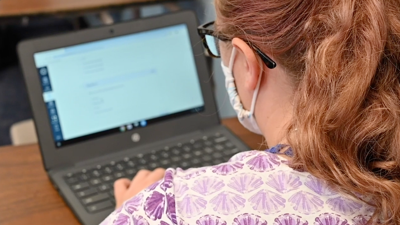 Za online nastavu se izjasnilo 60 posto nastavnika