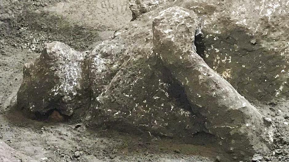 U Pompejima otkriveni očuvani ostaci muškaraca stradalih u erupciji 79. g.n.e.