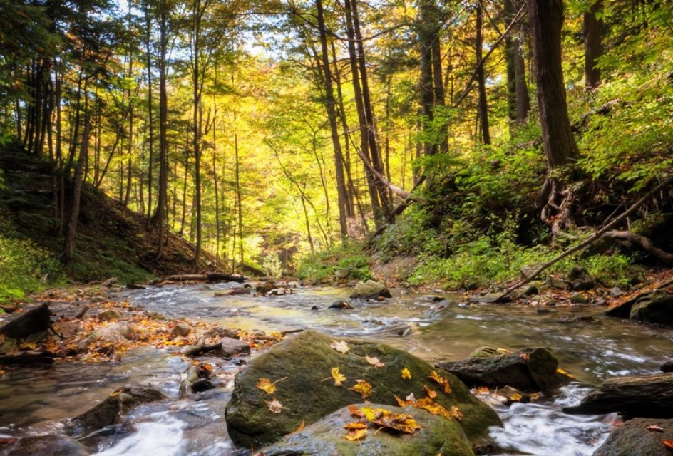 Meteorolog Krajinović: Septembar može biti ekstreman u pogledu maksimalnih temperatura zraka