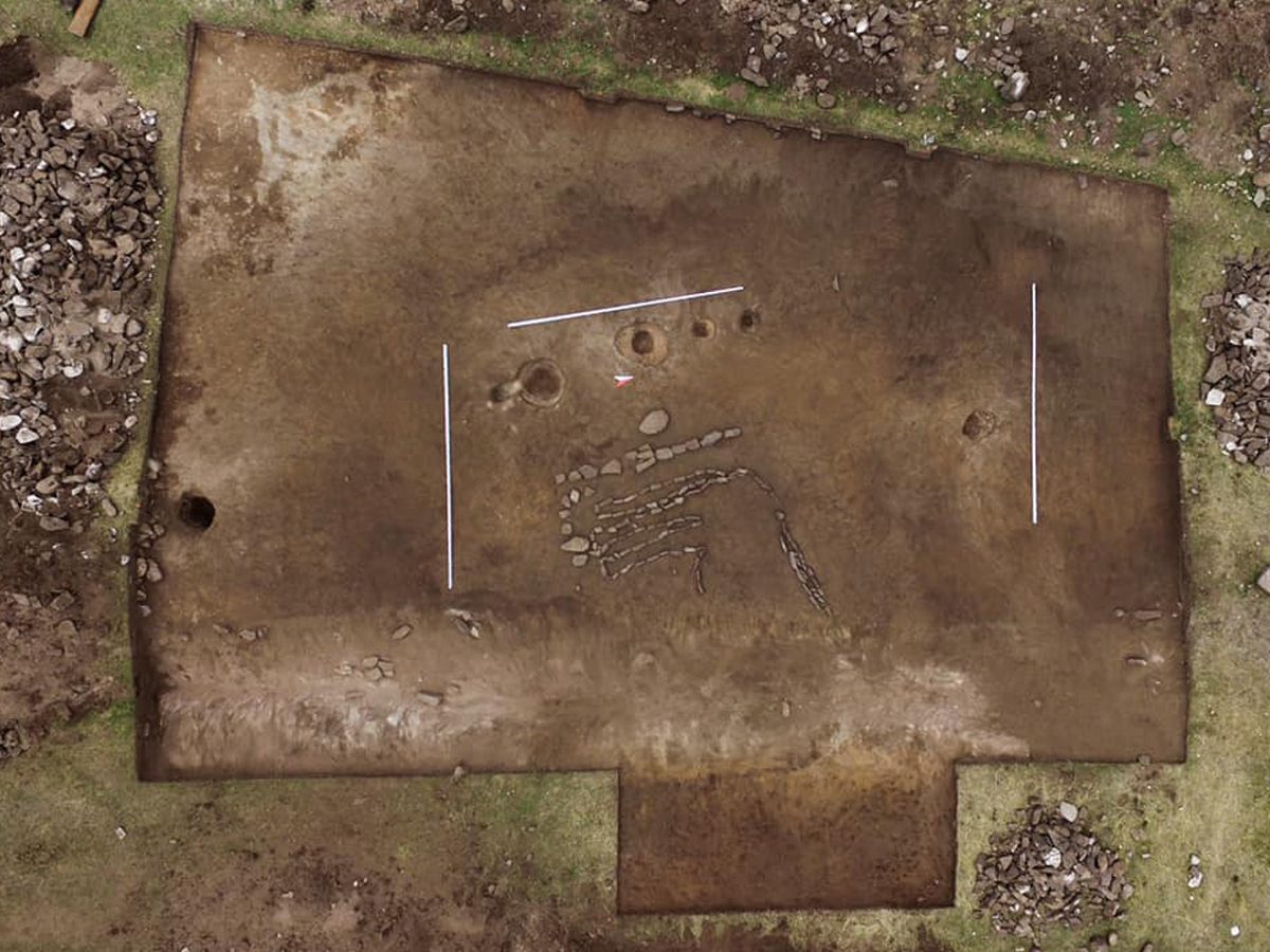 Prikaz bika star 4.000 godina pronađen u Rusiji