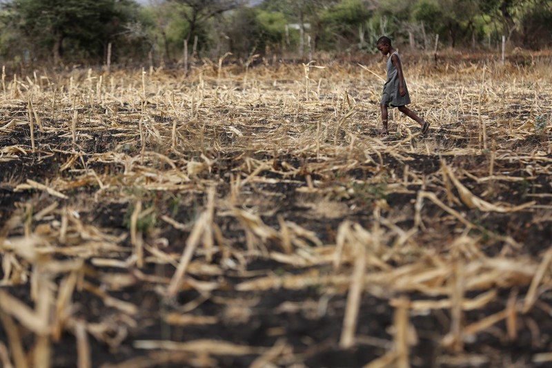 Zbog suše 200.000 osoba u Keniji dnevno može priuštiti samo jedan obrok