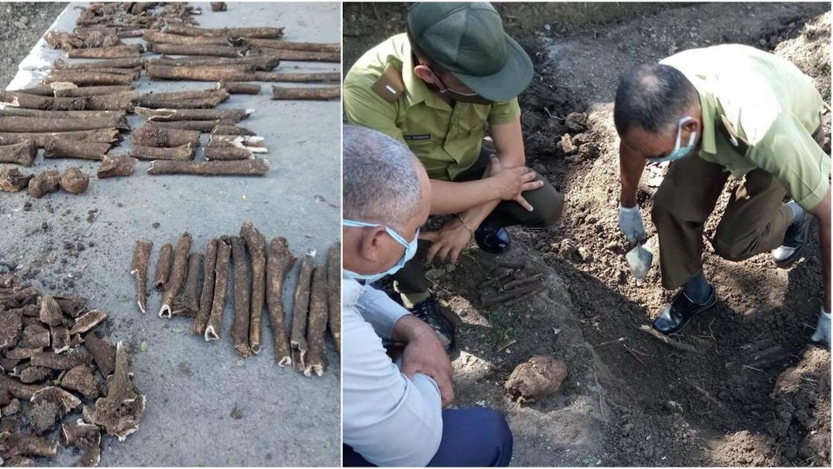 Na sjeveru Meksika pronađena 44 posmrtna ostatka