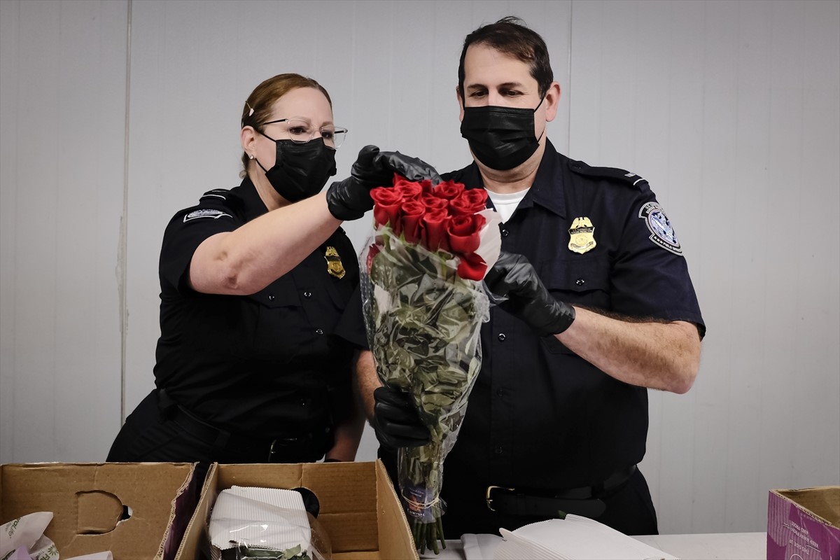 Aerodrom u Miamiju najveći uvoznik cvijeća uoči Dana zaljubljenih