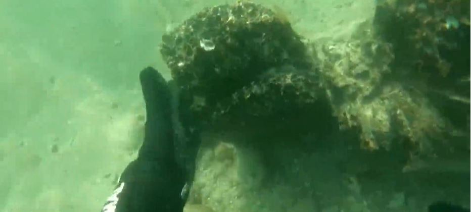 U Crnoj Gori otkrivena antička Barka