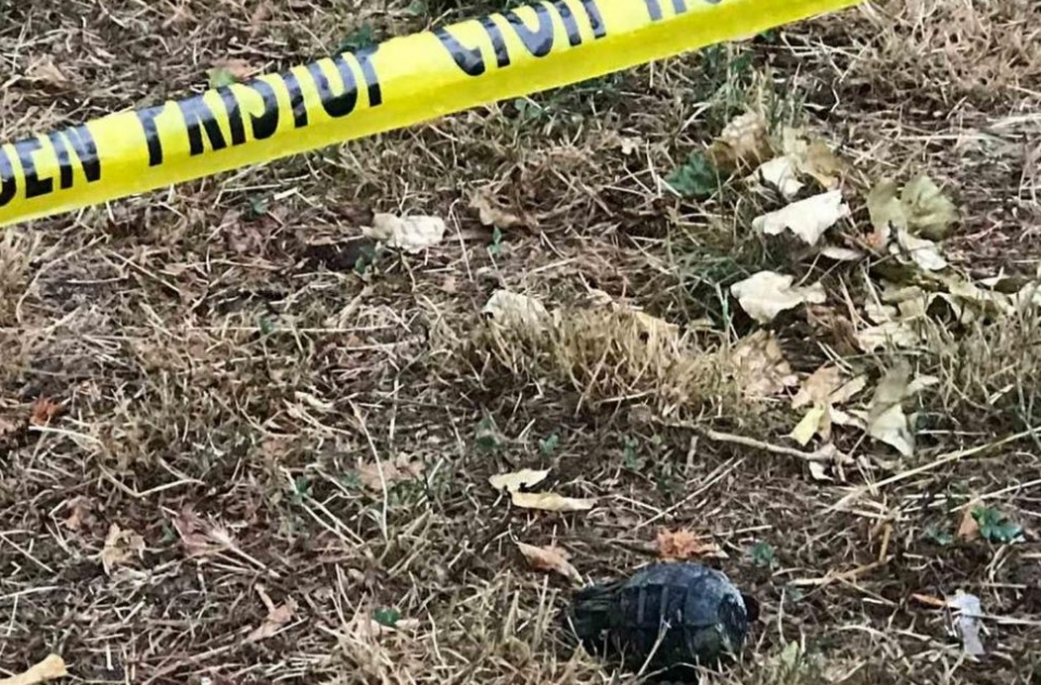 Uklonjena bomba pored "Davidovog srca" 