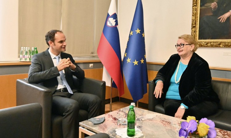 Turković u Ljubljani: Bez stabilne BiH, nema stabilnog regiona