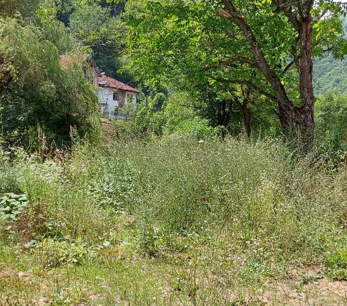 Ekshumacija na području Kazana u blizini Srebrenice