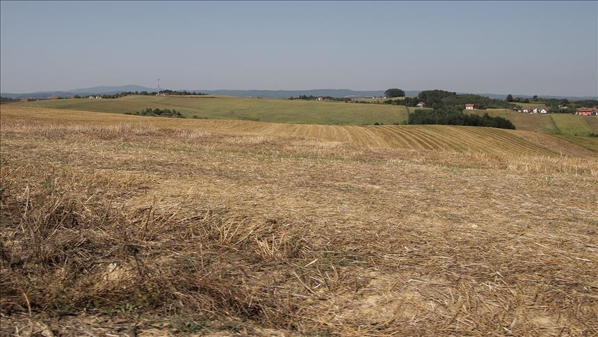 BiH se suočava s ekstremnom sušom, prognoza ne ide u prilog poljoprivredi
