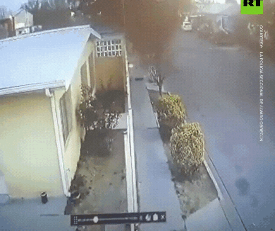 Još nije utvrđen razlog iznenadnog uginuća na desetine kosova