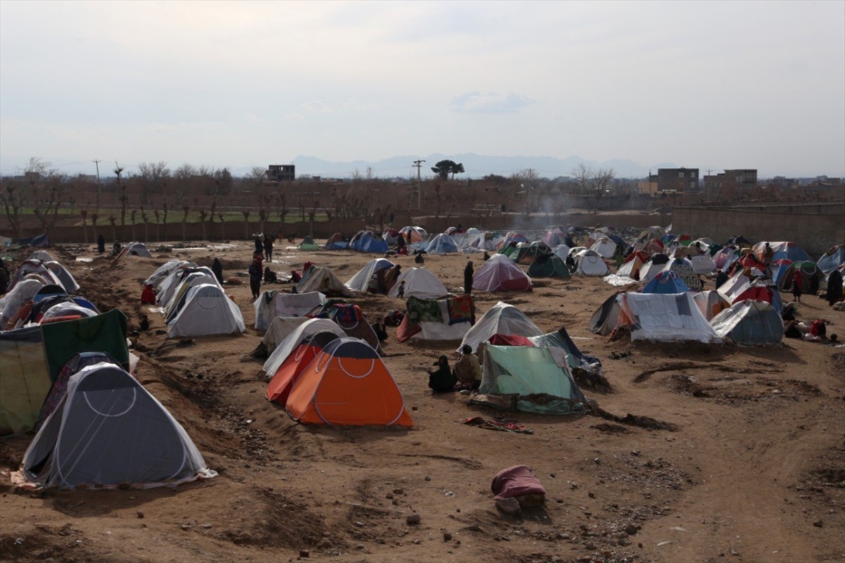 Zima desetinama porodica kod Herata pretvorila život u noćnu moru