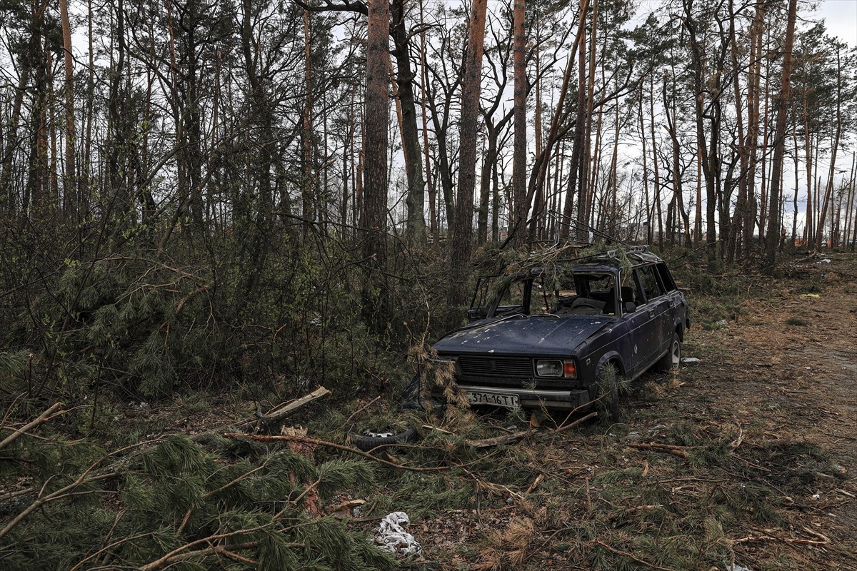 Rat Rusije i Ukrajine ozbiljno ugrozio prirodna staništa
