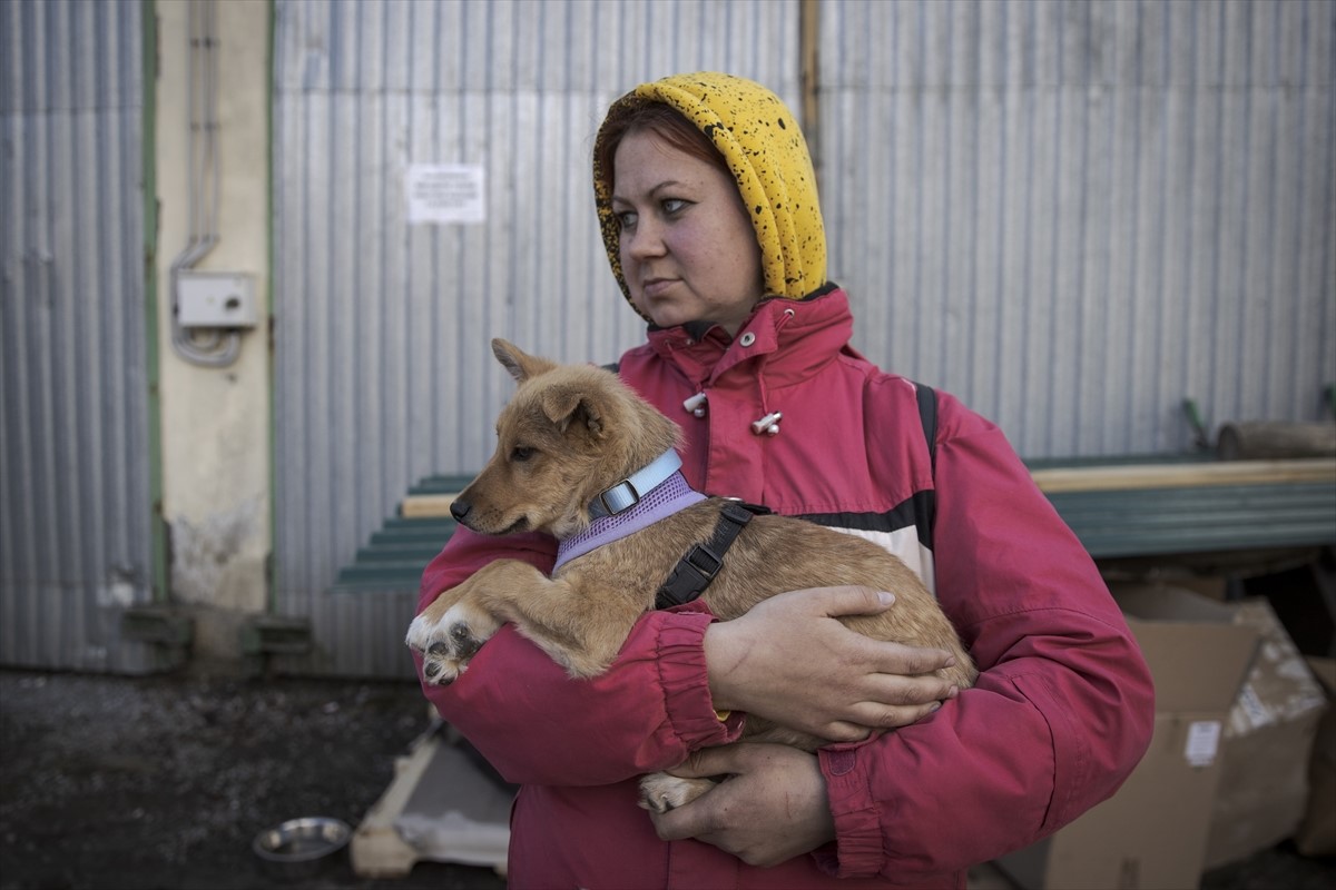 Dvjesto izgubljenih kućnih ljubimaca pronašlo novi dom u Lavovu