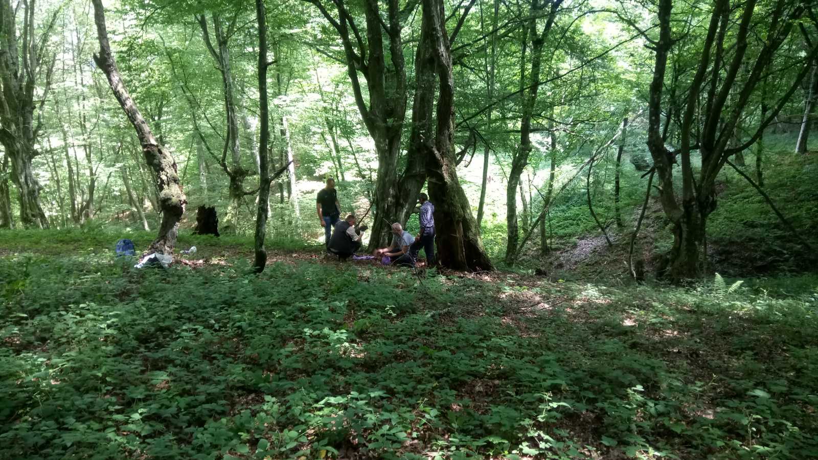 Ekshumacija na lokalitetu Kameničkog brda u Općini Bratunac