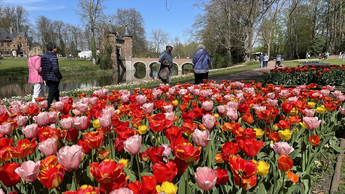 Više od milion cvjetova na međunarodnoj izložbi cvijeća "Floralia"