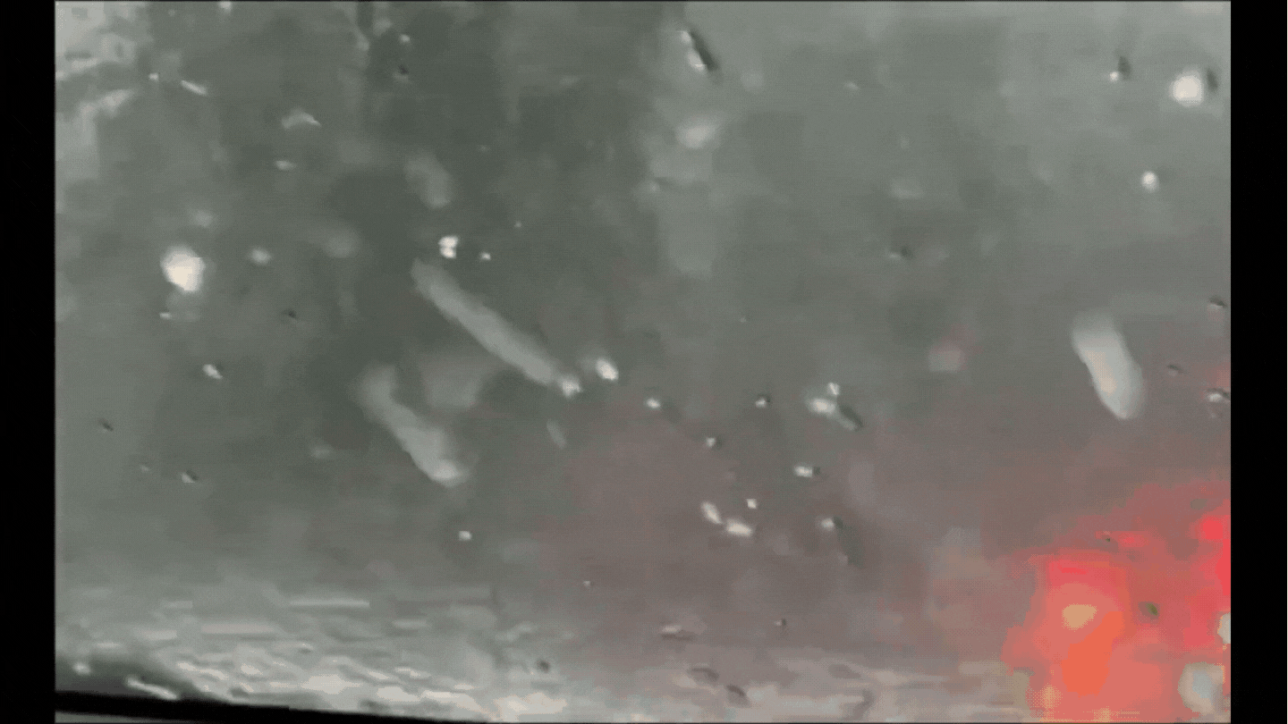 U Australiji padao neuobičajeno velik led