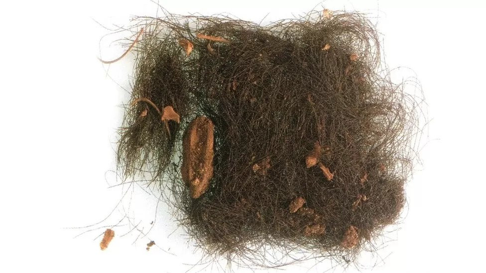 Ljudi u Španiji su konzumirali droge još prije 3000 godina