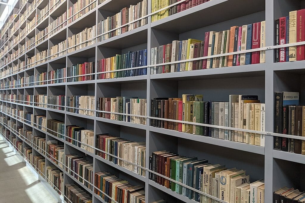 Ukrajina povukla iz svojih biblioteka 19 miliona knjiga na ruskom jeziku