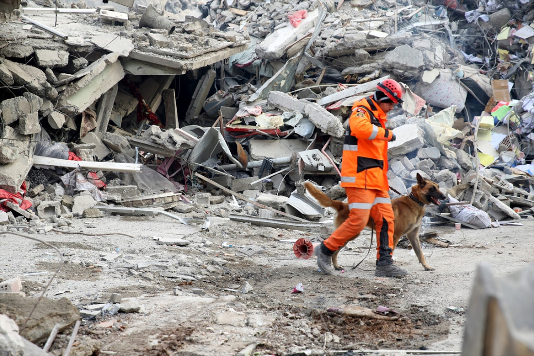 Pas Alfa najveća pomoć spasilačkim timovima u lociranju ljudi ispod ruševina