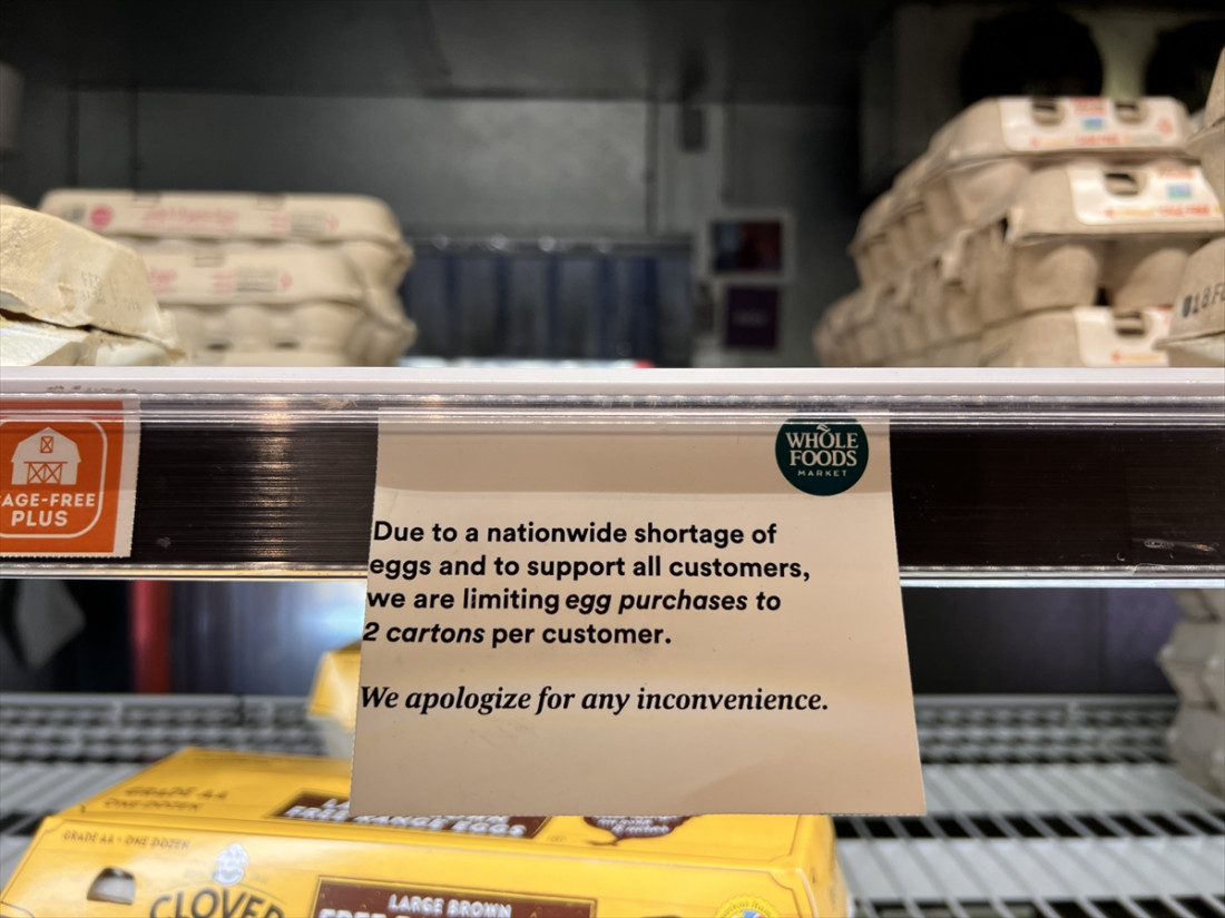 Zbog nestašice u SAD-u drastično poskupila jaja